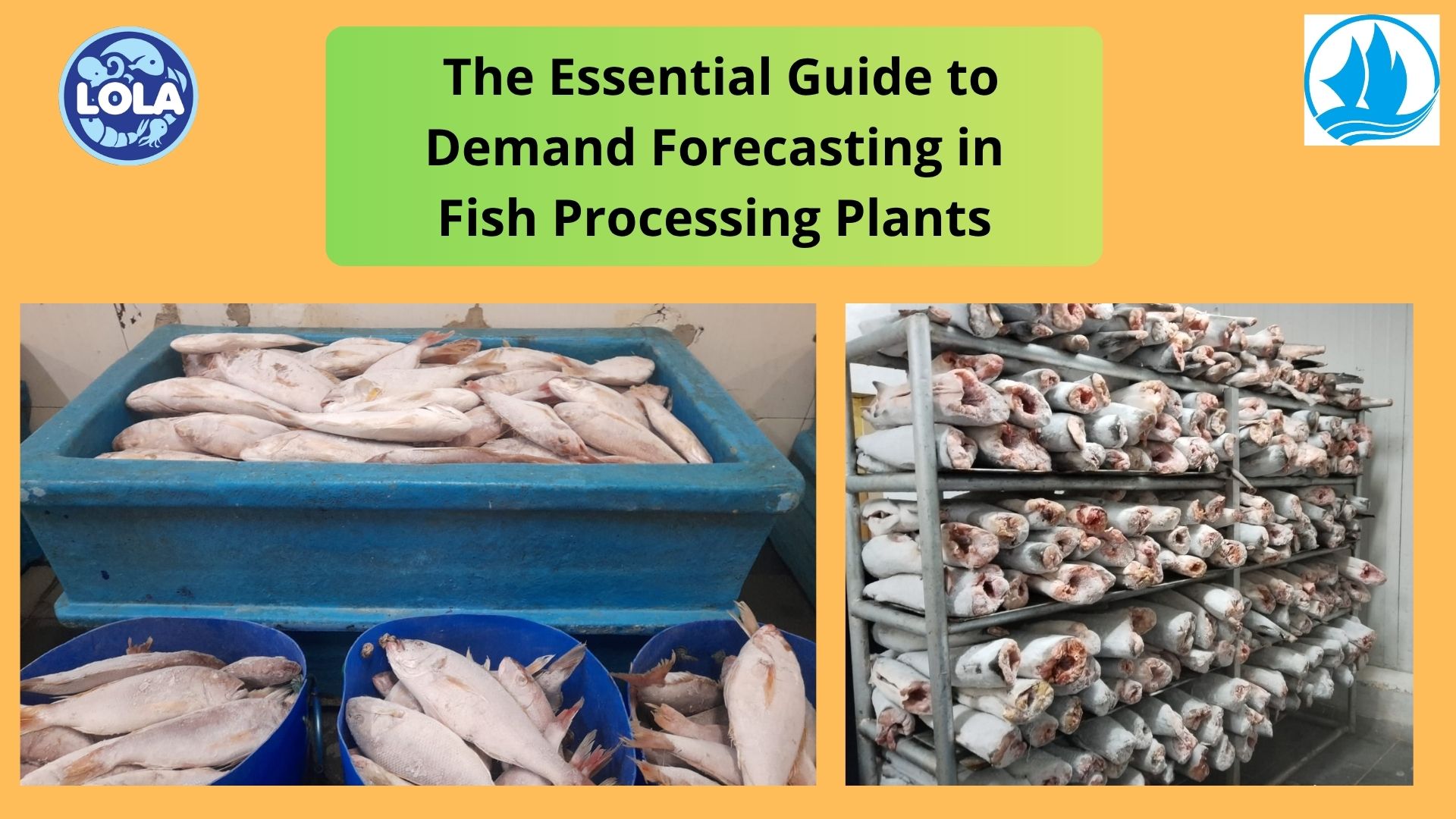   The Essential Guide to Demand Forecasting in Fish Processing Plants